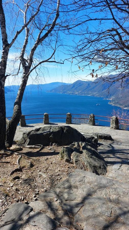 Casa Sassello - Appartamento Menta Dumenza Bagian luar foto